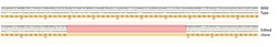 Abcam Human DROSHA knockout A549 cell line
