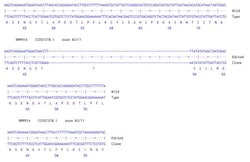Abcam&nbsp;Human BMPR1A knockout HCT116 cell line