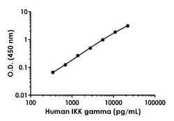 Abcam Human IKK gamma/NEMO ELISA Kit, 1 x 96 Tests