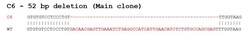 Abcam&nbsp;Human SFRP1 knockout A549 cell lysate.