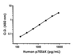 Abcam Human p70S6K ELISA Kit, 1 x 96 Tests