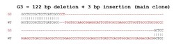 Abcam&nbsp;Human NFATC2 knockout Raji cell lysate.