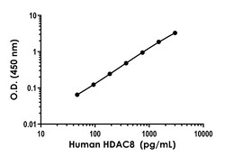 Abcam Human HDAC8 ELISA Kit, 1 x 96 Tests
