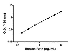 Abcam Human Furin ELISA Kit, 1 x 96 Tests