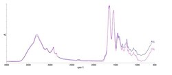 Abcam Native Cow Acid Soluble Collagen Type 1
