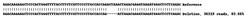 Abcam&nbsp;Human HK2 (Hexokinase II) knockout HEK-293 cell lysate.