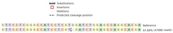 Abcam Human TUBB2B knockout HEK-293 cell line