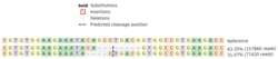 Abcam Human ABL1 knockout HeLa cell line