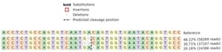 Abcam&nbsp;Human FCGR1A knockout THP-1 cell lysate.