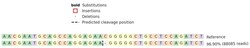 Abcam Human GAS6 knockout HEK-293 cell lysate.