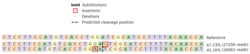 Abcam&nbsp;Human CD1A knockout Jurkat cell lysate.