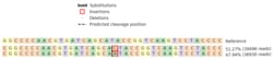 Abcam&nbsp;Human ATP13A2 knockout HEK-293 cell lysate.