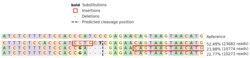 Abcam Human LEF1 knockout Jurkat cell line
