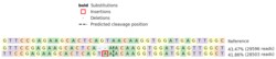 Abcam Human MAGEA4 knockout A-431 cell line