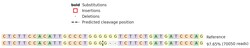 Abcam&nbsp;Human MS4A1 knockout Raji cell lysate.