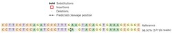 Abcam&nbsp;Human CD1C knockout Jurkat cell lysate.