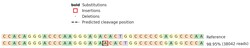 Abcam&nbsp;Human COL1A1 (PICP) knockout U-2 OS cell lysate.