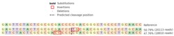 Abcam Human ZAP70 knockout Jurkat cell lysate.