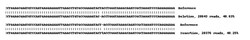 Abcam&nbsp;Human PSENEN (PEN2) knockout HEK-293 cell lysate.