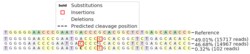 Abcam Human CA12 knockout A549 cell line