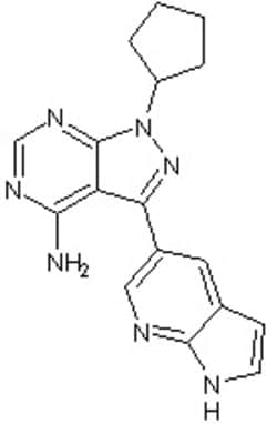 Abcam PP121.