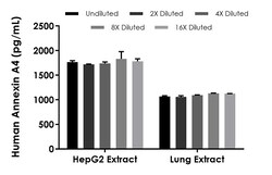 Abcam Human Annexin A4 ELISA Kit (ANXA4), 1 x 96 Tests