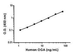 Abcam&nbsp;Human/Mouse MGEA5/OGA Antibody Pair - BSA and Azide free, 10 x 96 Tests