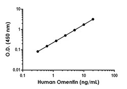 Abcam Human Omentin Antibody Pair - BSA and Azide free, 10 x 96 Tests