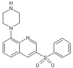 Abcam SB742457 (Intepirdine), 5-HT6 antagonist, 25MG