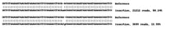Abcam&nbsp;Human HES1 knockout MCF7 cell lysate.