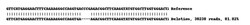 Abcam Human HMOX1 (Heme Oxygenase 1) knockout A549 cell line