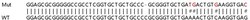 Abcam Human OAS3 knockout A549 cell line