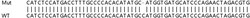 Abcam Human IDO1 (Indoleamine 2, 3-dioxygenase) knockout A549 cell line