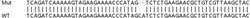 Abcam Human RAB27A knockout A549 cell line