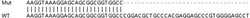 Abcam Human BRD9 knockout HEK-293T cell line