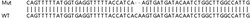 Abcam Human FABP5 knockout HeLa cell line
