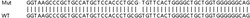 Abcam Human RALBP1 knockout HeLa cell line