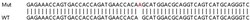 Abcam Human SMAD3 knockout HeLa cell lysate.