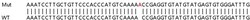 Abcam&nbsp;Human PTGS2 (COX2 / Cyclooxygenase 2) knockout HeLa cell lysate.