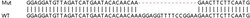 Abcam&nbsp;Human TOP1MT knockout HEK-293T cell lysate.