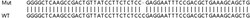 Abcam&nbsp;Human PRRC2B knockout HEK-293T cell lysate.