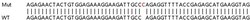 Abcam&nbsp;Human NME6 knockout HEK-293T cell lysate.