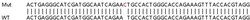Abcam&nbsp;Human HTR3D (5HT3D Receptor) knockout A549 cell lysate.