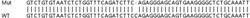 Abcam&nbsp;Human GCN1L1 knockout HEK-293T cell lysate.