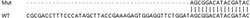 Abcam&nbsp;Human EIF1 knockout HEK-293T cell lysate.