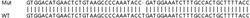Abcam&nbsp;Human CNOT1 knockout HEK-293T cell lysate.