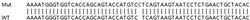 Abcam&nbsp;Human CFHR3 (Complement factor H-related protein 3) knockout A549 cell lysate.
