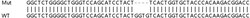 Abcam&nbsp;Human ANGPTL6 knockout A549 cell lysate.