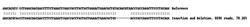 Abcam Human PXN (Paxillin) knockout A-431 cell line