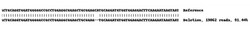 Abcam Human KRT7 knockout A549 cell line